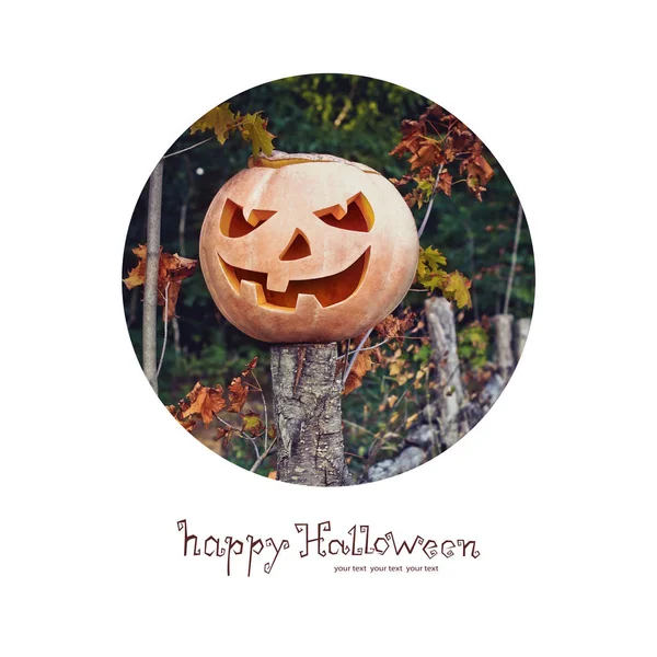 Gruseliger und schrecklicher Kürbis für einen Halloween-Feiertag. Web-Banner, Flyer zur Gestaltung mit Platz für Text. Fotos auf isoliertem Hintergrund — Stockfoto