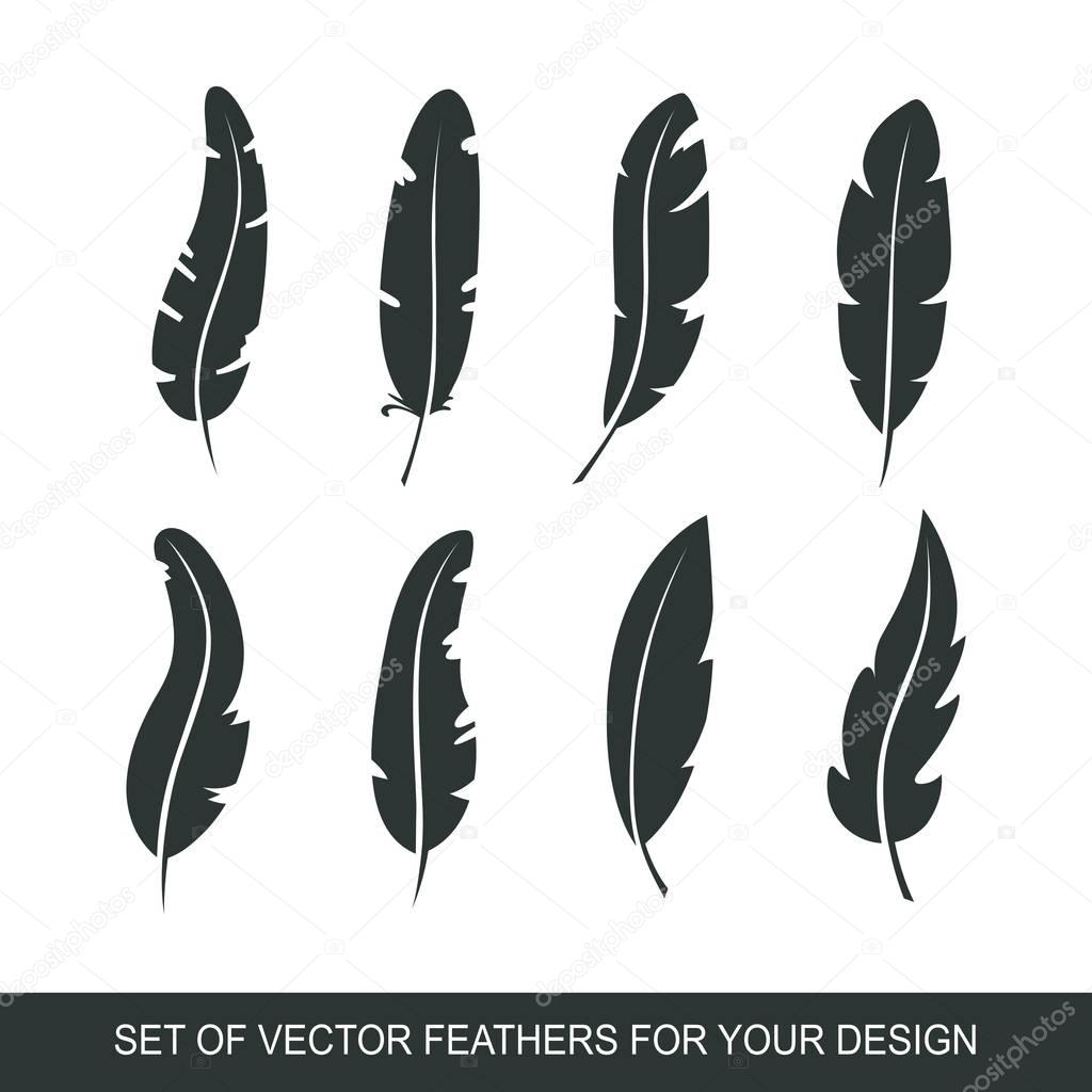 Different set feather vector icon isolated on white background. Collection for writing text and design. Graphic illustration