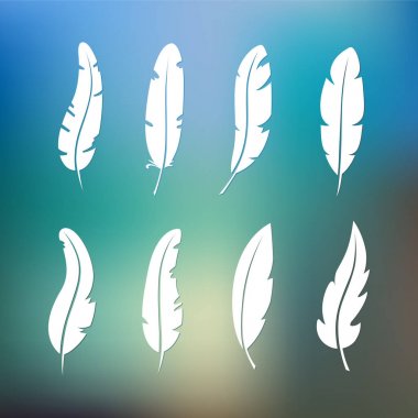 Beyaz arka plan üzerinde izole farklı set tüy vektör simgesi. 