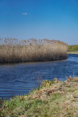 Akan doğada güzel bir kaynak nehri. Sabahları ve akşamları renkli manzaralar. Dünyanın ıssız yerlerine seyahat et. Tasarım için stok fotoğrafı