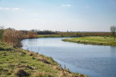 Akan doğada güzel bir kaynak nehri. Sabahları ve akşamları renkli manzaralar. Dünyanın ıssız yerlerine seyahat et. Tasarım için stok fotoğrafı