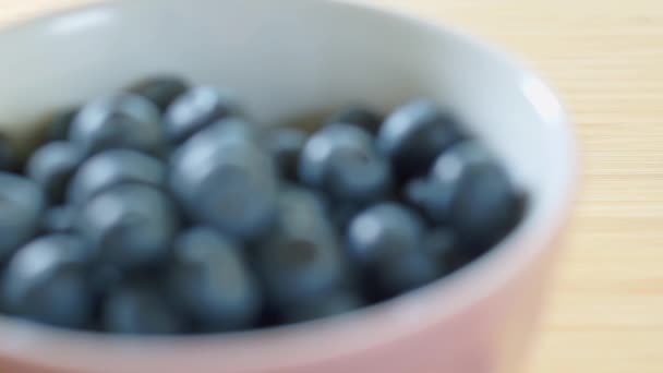 Черника лежит на тарелке... сладкие сочные ягоды. Здоровое питание . — стоковое видео