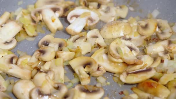 Добавьте специи к жареным грибам. Жареные грибы на сковородке . — стоковое видео