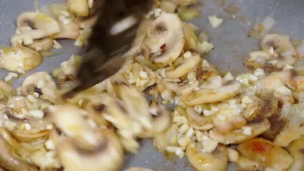 Die Pilze in einer Pfanne umrühren. Champignon. — Stockvideo