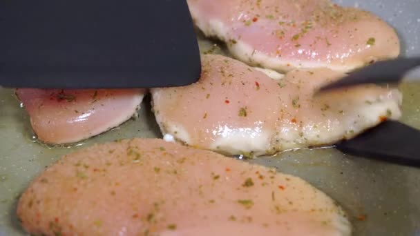 Cooking chicken meat in a frying pan. — Stock Video