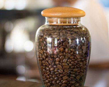 Bir düzine kahve çekirdekleri.