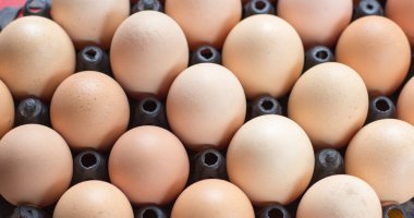 Yumurta, tavuk yumurta.