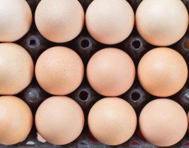 Yumurta, tavuk yumurta.