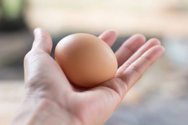 El ile tavuk yumurta.