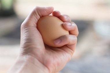 El ile tavuk yumurta.