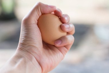 El ile tavuk yumurta.