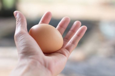 El ile tavuk yumurta.