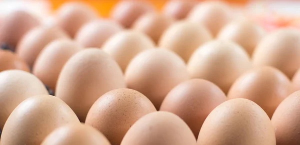 Яйца, куриное яйцо . — стоковое фото