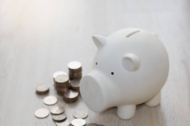 Beyaz domuzcuk ahşap zemin üzerinde para ile para tasarrufu.