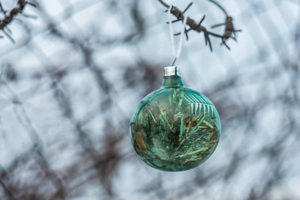 Christmas ball on barbed wire — Stock Photo, Image