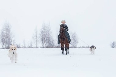Binici üzerinde köpek av yeniden inşası