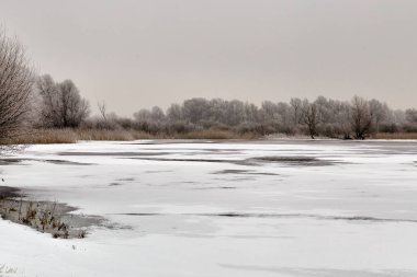 Kış manzarası ve ağaçlar