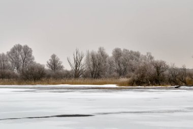 Kış manzarası ve ağaçlar