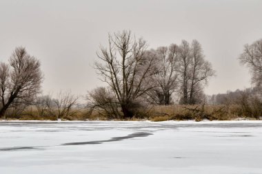 Kış manzarası ve ağaçlar