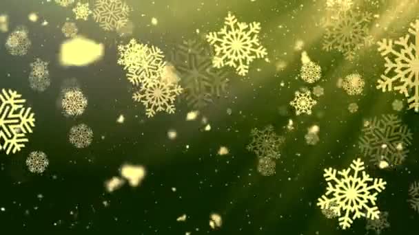 Sváteční sněhové vločky 5 Smyklihodné pozadí — Stock video