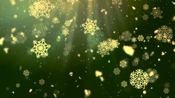 Holiday Snowflakes 6 Loopable Background — Stock Video