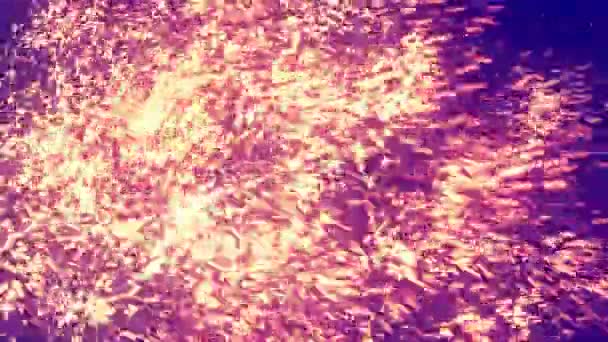 抽象的な金粒子 — ストック動画