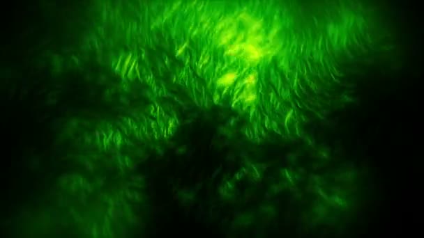 Fiery Fogg Particules fond vert — Video