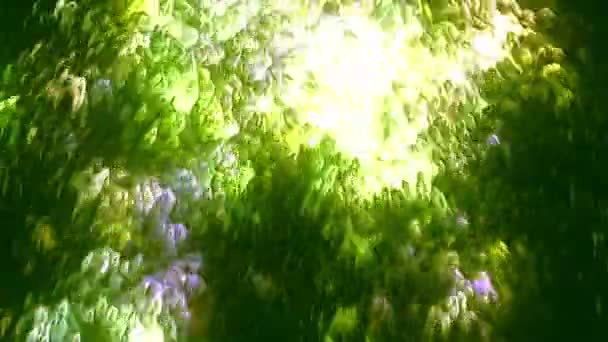 Vloeibare verf Stroom Achtergrond Groen — Stockvideo