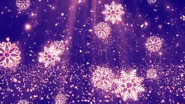 Kerst sneeuwvlokken Glitters 5 — Stockvideo