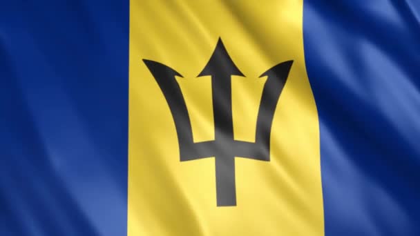 Barbados Flag Animation Full 1920X1080 Pixels Extend Duration Requirement Seamless — Stock Video