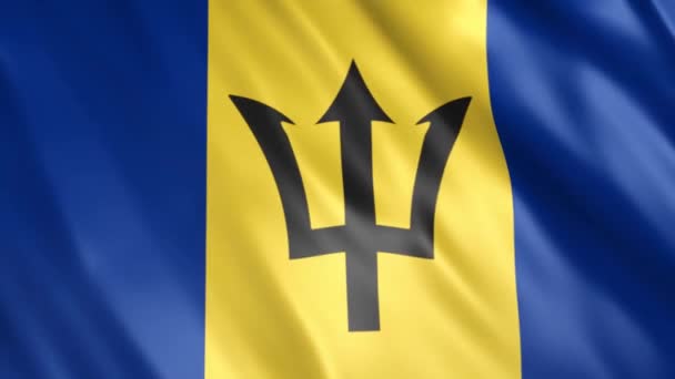 Barbados Flag Animation Full 1920X1080 Pixeles Extienda Duración Según Requisito — Vídeo de stock