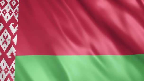 Belarus Flag Animation Full 1920X1080 Pixels Extending Duration Conditions Seamless — 비디오