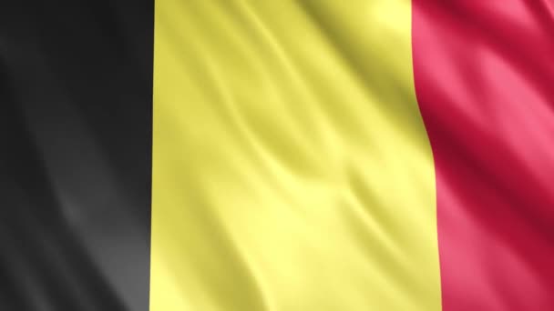 Belgien Flagge Animation Full 1920X1080 Pixel Verlängern Sie Die Dauer — Stockvideo