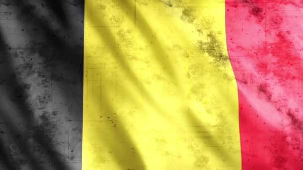 Belgium Flag Grunge Animation Full 1920X1080 Pixels Extended Duration Requency — стокове відео