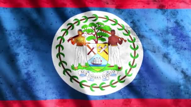 Belize Flag Grunge Animation Full 1920X1080 Pixel Estendere Durata Secondo — Video Stock