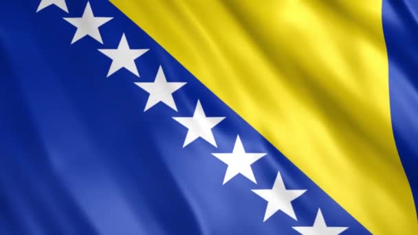Bosnien Und Herzegowina Flag Animation Full 1920X1080 Pixel Verlängern Sie — Stockvideo