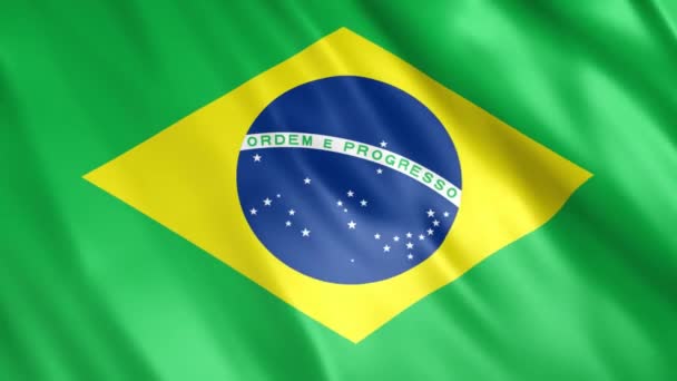 Brasilien Flagg Animation Full 1920X1080 Pixlar Förläng Varaktigheten Enligt Kravet — Stockvideo