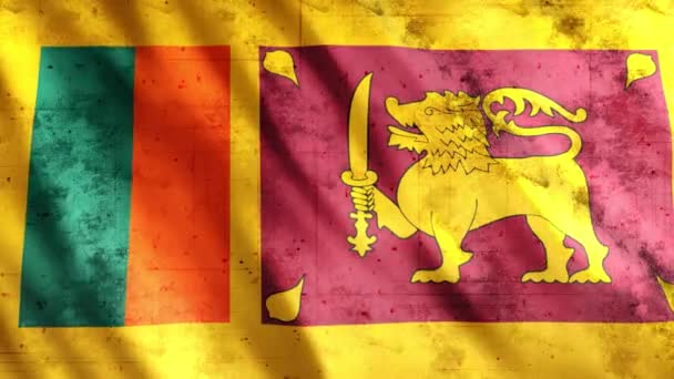 Σημαία Της Σρι Λάνκα Grunge Animation Full 1920X1080 Pixels Επέκταση — Αρχείο Βίντεο