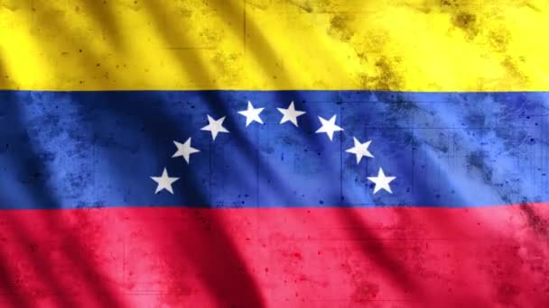 委内瑞拉国旗卷曲动画 全Hd 1920X1080 Pixels 延长期限 根据要求与无缝圈 — 图库视频影像
