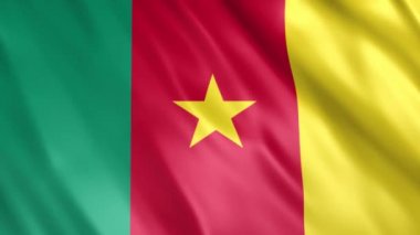 Kamerun Bayrağı Grunge Animasyonu, Full HD, 1920x1080 Pikseller, Gerektiği gibi süreyi Noktasız Döngü ile genişletin