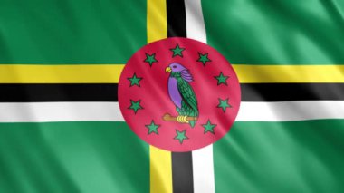 Dominica Flag Grunge Animasyon, Full HD, 1920x1080 Pikseller, Gerektiği gibi Süre Uzatın