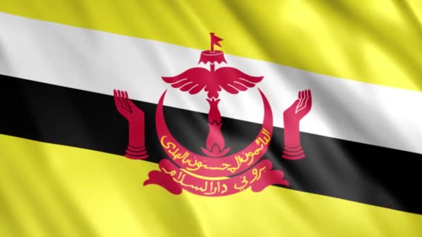 Brunei Flag Grunge Animation Full 1920X1080 Pixlar Förläng Varaktigheten Enligt — Stockvideo