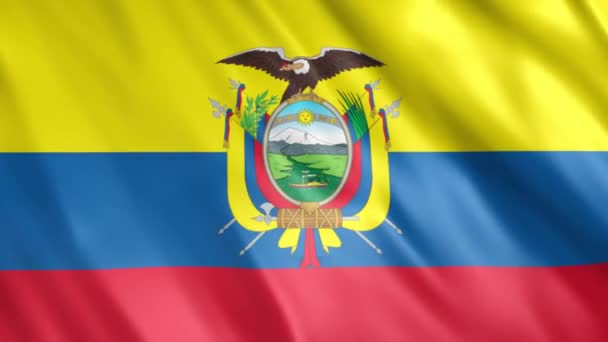 厄瓜多尔国旗卷曲动画 全Hd 1920X1080 Pixels 延长期限 根据要求与无缝圈 — 图库视频影像