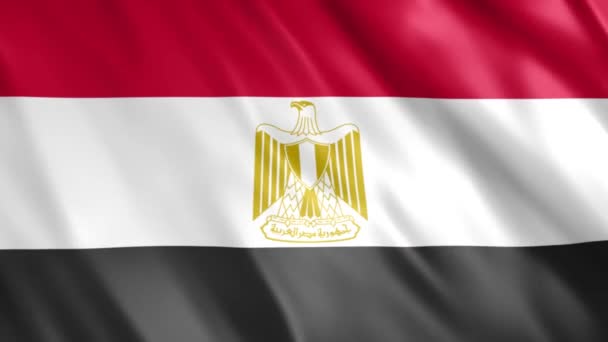 Egipt Flaga Grunge Animation Full 1920X1080 Pixels Przedłużyć Czas Trwania — Wideo stockowe