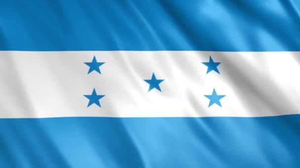 Honduras Flag Animation Full 1920X1080 Pixels Extending Duration Conditions Seamless — 비디오