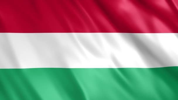 Hungary Flag Animation Full 1920X1080 Pixels Extended Duration Requency Seamless — стокове відео