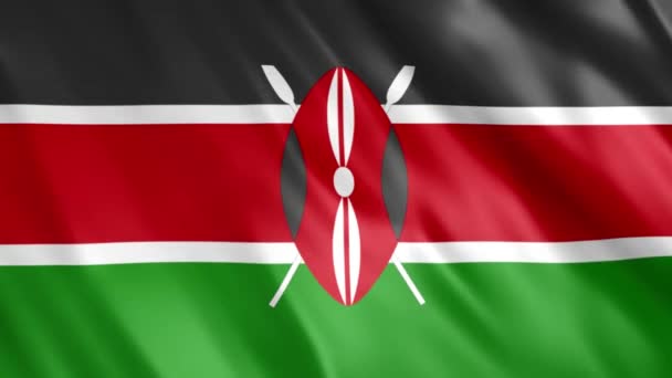 Kenya Flag Animation Full 1920X1080 Pixels Przedłużenie Czasu Trwania Zgodnie — Wideo stockowe