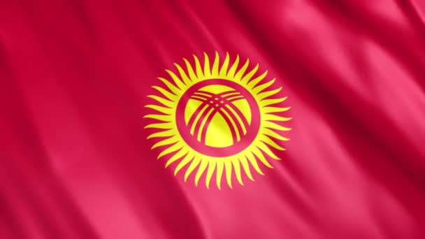 Kyrgyzstan Flag Animation Full 1920X1080 Pixeles Extienda Duración Según Requisito — Vídeos de Stock