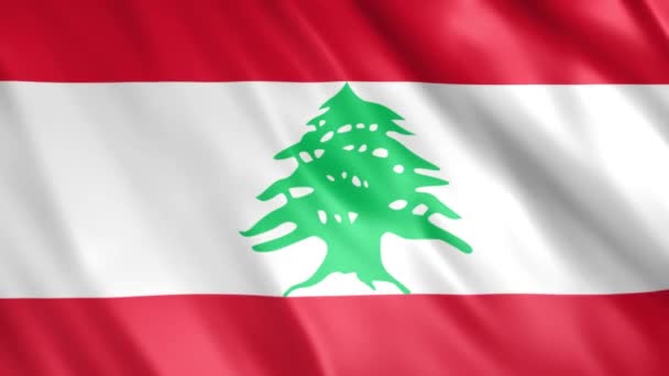黎巴嫩国旗动画 全Hd 1920X1080 Pixels 根据无缝线的要求延长期限 — 图库视频影像