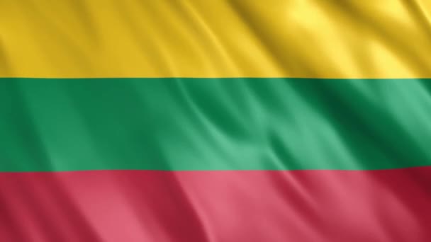 Lithuania Flag Animation Full 1920X1080 Pixels Extend Duration Requirement Seamless — Stock Video